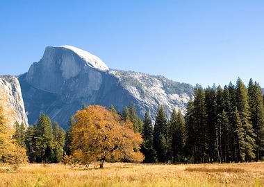 Yosemite National Park Half Dome