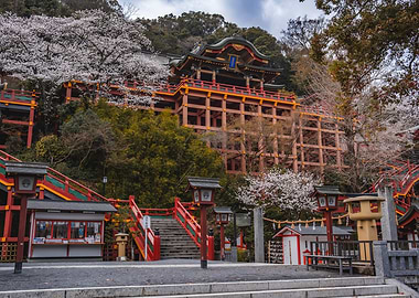 Cherry Blossom Temple in Kyushu, Japan