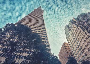 San Francisco Transamerica Pyramid View