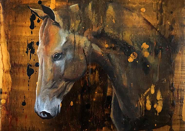 Horse in Gold and Black