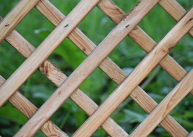 Wooden Lattice Against Green Background