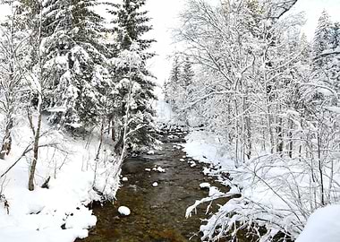 Winter River Landscape