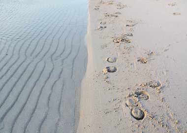 Beach Footprints and Water Ripples