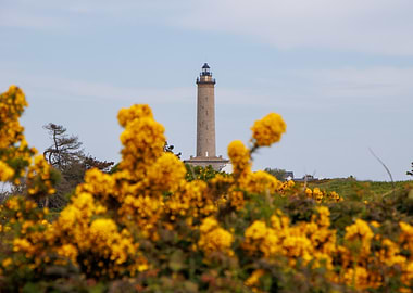Lighthouse with Yellow Flowers