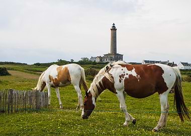 Horses Grazing Near Lighthouse