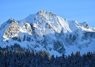 Snowy Mountain Peak with Forest