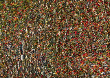 Mountain Village in Autumn