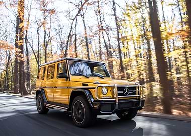 Yellow Mercedes-Benz G-Class in Autumn