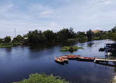 River scene with boats and vegetation