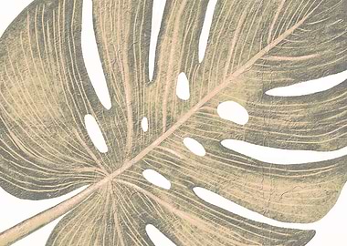 Beige Monstera Leaf One