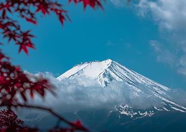 Mount Fuji with Red Maple Leaves