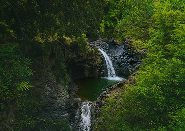 Tropical Waterfall in Maui Hawaii