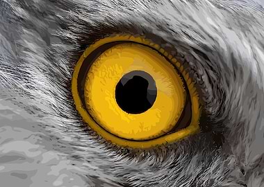 Close-up of an Owl's Eye