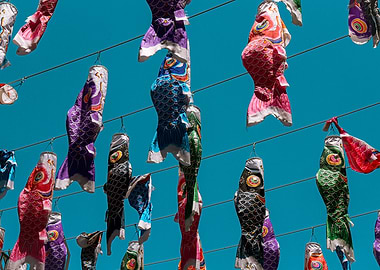 Colorful Koinobori Carp Streamers Against Blue Sky