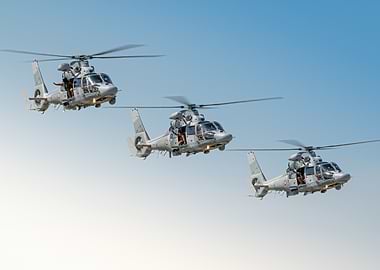 Three Panther Military Helicopters in Flight Formation