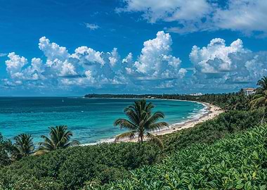 Tropical Beach Paradise with Turquoise Water