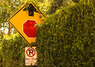Signs Among the Hedges