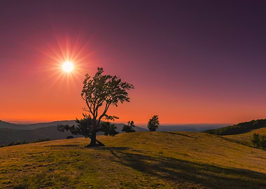 Sunset over a grassy hill, Hala Jaworowa, Poland