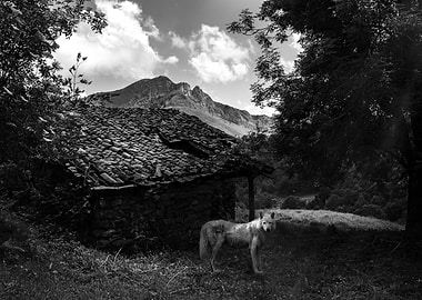 Wolf, Cabin, and Mountain Landscape