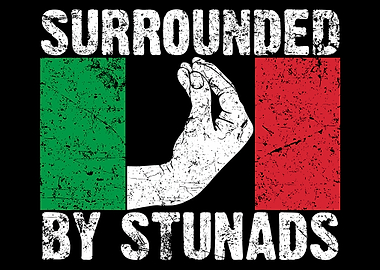 Surrounded by Stunads Italian Flag Hand