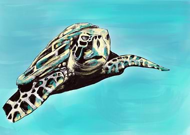 Sea Turtle Swimming