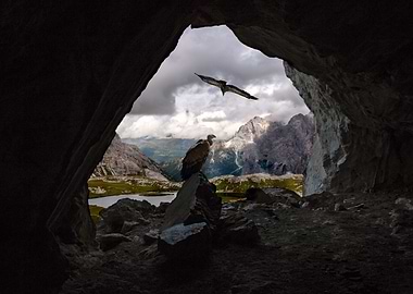 Vultures in Cave Overlooking Mountain Landscape