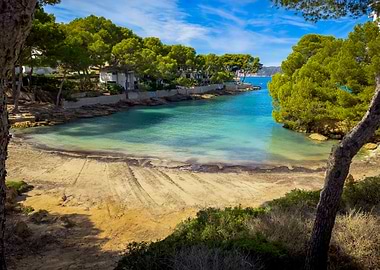 Secluded Beach Cove with Turquoise Water