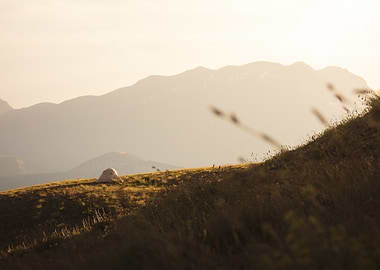 Tent on a grassy hill