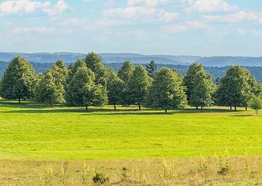 Green field with trees and hills
