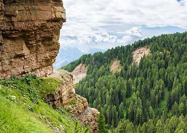 Mountain Cliffside with Forest View - Dolomites in Italy