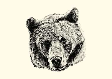 Bear Portrait - Detailed Sketch