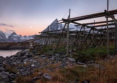 Hjell,Fish flake,Hamnoy,Lofoten,Norway