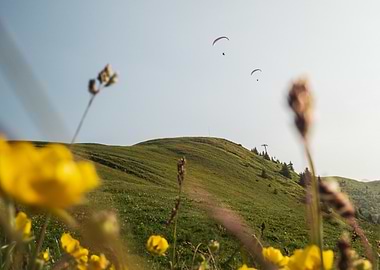 Paragliding over green hill with flowers