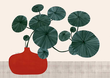 Pilea peperomioides in Red Vase