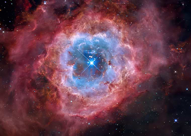 Rosette Nebula in Space