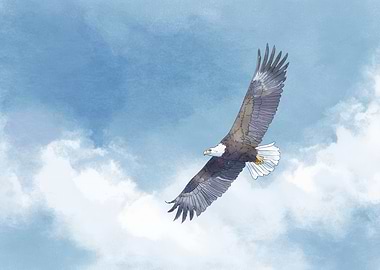 Bald Eagle Soaring in Blue Sky