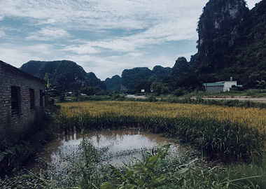 Rural Landscape with Mountains and Field