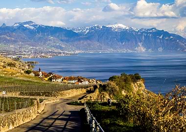 Lavaux Vineyard Terraces, Switzerland
