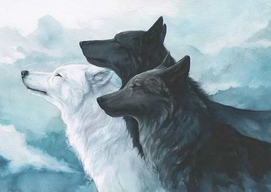 Three Wolves in Harmony