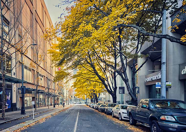 Autumn street with yellow trees