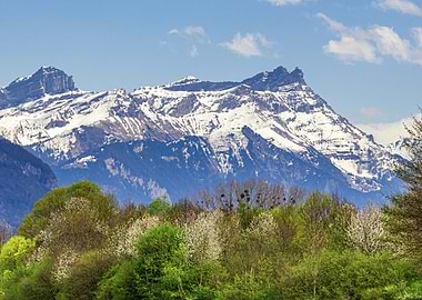 Great Muveran Mountains and Green Trees