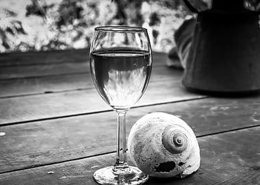 Wine Glass and Seashell Still Life