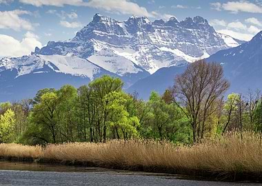 White Tooth Mountain Landscape with Trees and Water