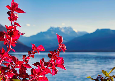 Red Flowers with Mountain Lake View
