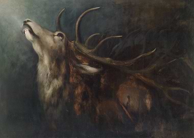 Sterbender Hirsch Dying Deer