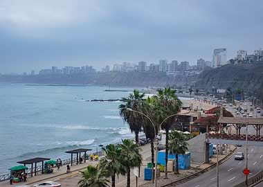 Coastal Cityscape with Palm Trees