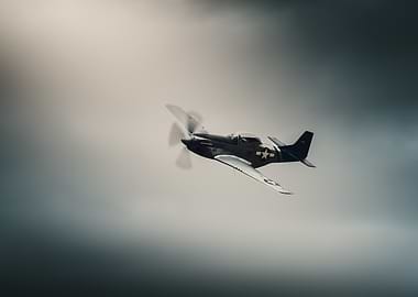 P-51 Mustang in flight
