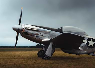 Vintage P-51 Mustang Airplane