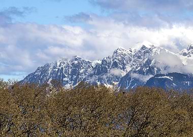 Snowy Alps Mountains Behind Bare Trees