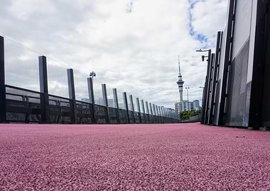 Sky Tower with Pink Path